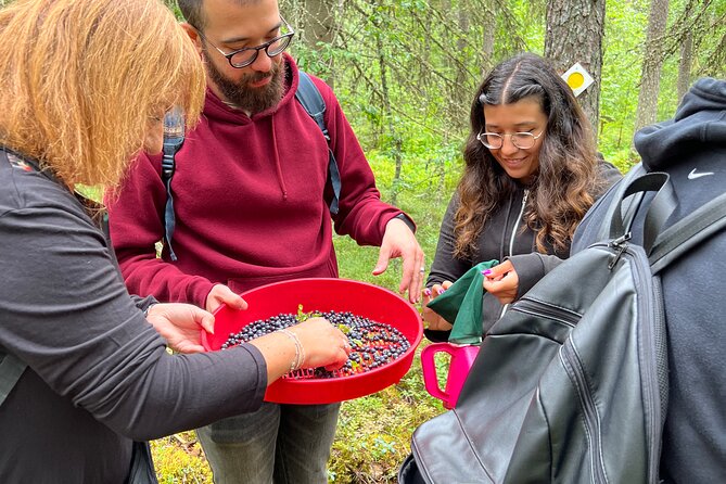 Berry Picking in a National Park - Who will enjoy this Helsinki day trip most?