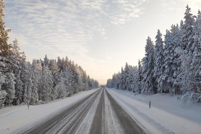 Best Of Lapland: Sauna, Ice swimming, Dinner & Northern Lights - Who should book this experience?
