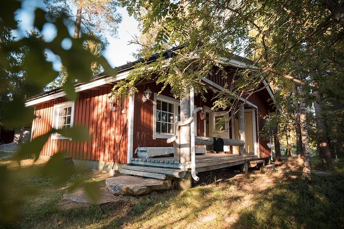 Best Of Lapland: Sauna, Ice swimming, Dinner & Northern Lights - Practical details that can make the evening easier