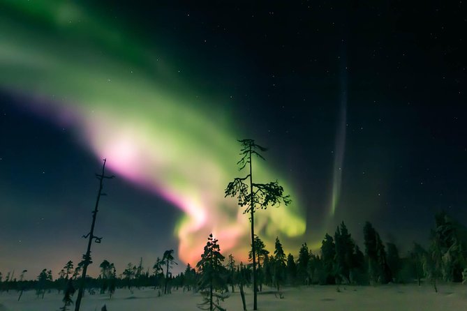 Capturing Auroras in Pyhä - What happens at Tajukangas