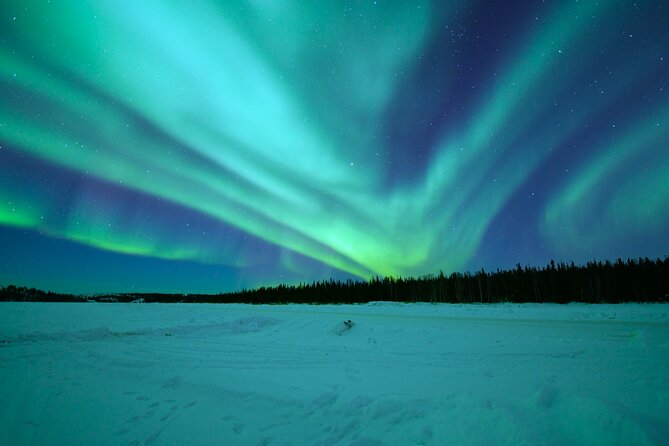 Chasing Aurora with Photographer - Small Group - Is $192.36 a fair price?