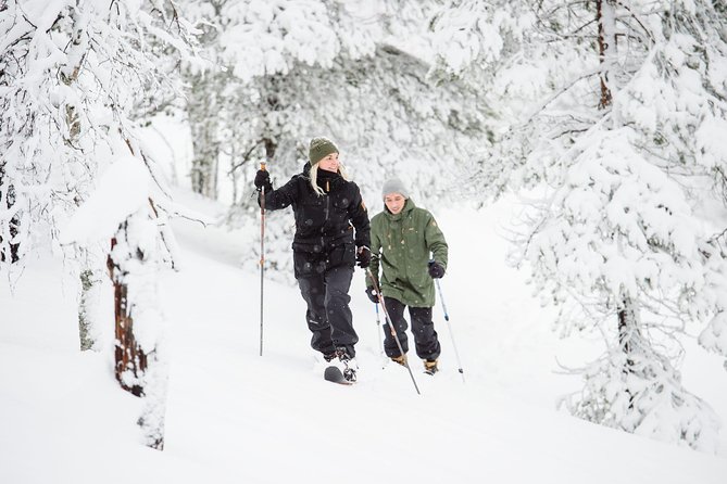 Classic Wilderness Skiing in the Pyhä-Luosto National Park - Meeting at Camp Kitchen & Bar Pyhätunturi
