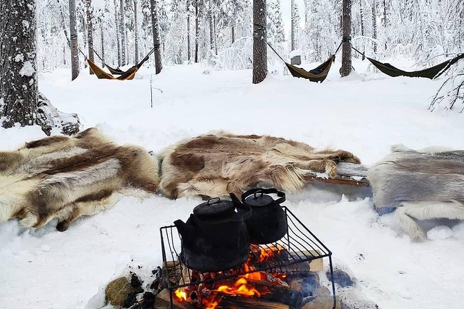 Cocooning in the HaliPuu forest: The ultimate Arctic hammock relaxation - Key points at a glance