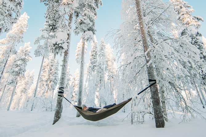 Cocooning in the HaliPuu forest: The ultimate Arctic hammock relaxation - Why this forest outing feels different from a normal tour