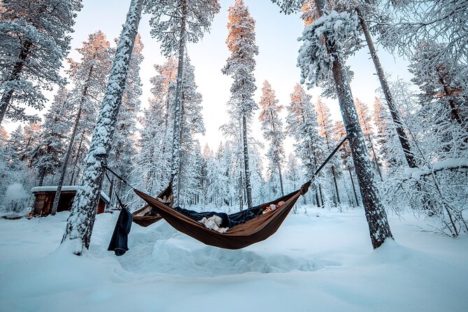 Cocooning in the HaliPuu forest: The ultimate Arctic hammock relaxation - HaliPuu and the saved century-old trees