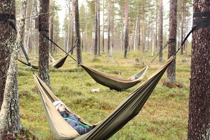 Cocooning in the HaliPuu forest: The ultimate Arctic hammock relaxation - The hammock cocoon: nothing to accomplish
