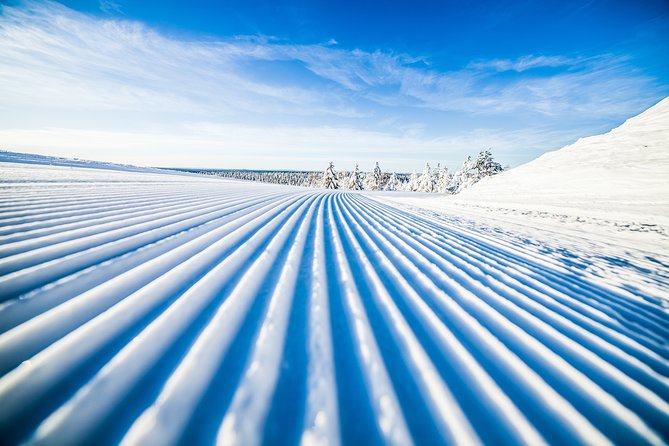 Cross-Country Skiing Trip - What Your Three Hours in Rovaniemi Look Like