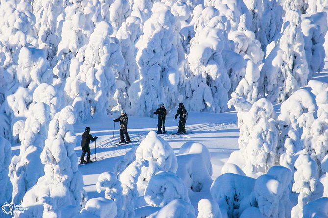 Cross-Country Skiing Trip - Pickup, Group Size, and Small Practical Details