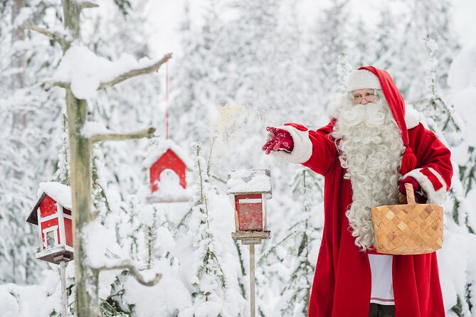 Daytour to Santa Claus Village, Reindeer and Husky Safaris, Photo, and Lunch - Reindeer sledding over 400 meters