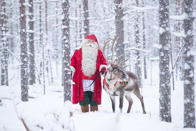 Daytour to Santa Claus Village, Reindeer and Husky Safaris, Photo, and Lunch - What the $382.76 price really buys you