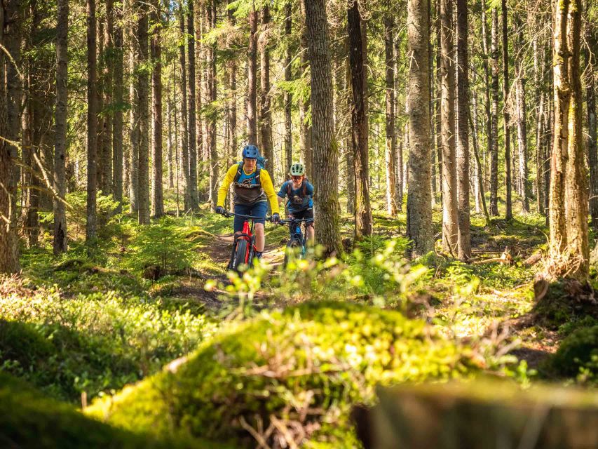 E-FatBike experience in small groups - From Hostel Cafe Koti into the Ounasvaara forest