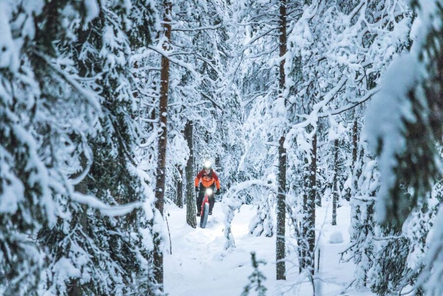 E-FatBike experience in small groups - The practical weak points to consider