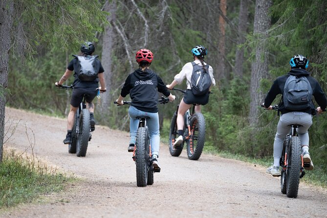 Electric Fatbike Trip to the Reindeer Farm - Why this is more than a standard reindeer visit