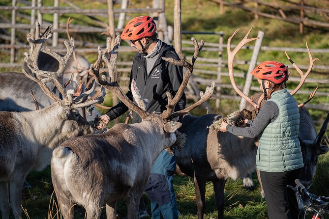 Electric Fatbike Trip to the Reindeer Farm - The return route to Rovaniemi