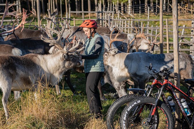 Electric Fatbike Trip to the Reindeer Farm - Who will enjoy this morning most?