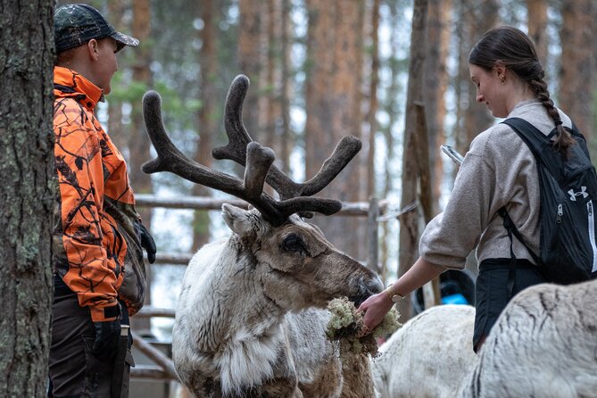 Electric Fatbike Trip to the Reindeer Farm - Starting at Jaakonkatu 4-6 in Rovaniemi