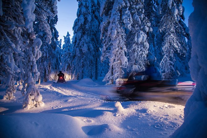 Evening Escape - Snowmobile safari and campfire in Rovaniemi - Watching for the Northern Lights