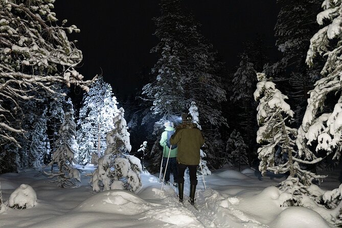 Evening Ski Trek to the Wilderness - Extra Small group - Night skiing beyond Rovaniemi