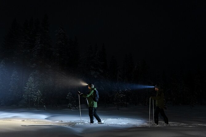 Evening Ski Trek to the Wilderness - Extra Small group - The kota is more than a quick snack stop