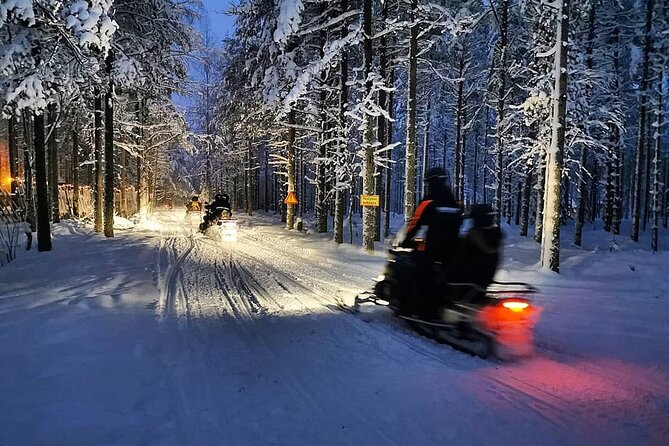 Evening Snowmobile Safari in Rovaniemi - Group size and the guide’s role