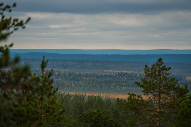 Explore the Wilderness (Summer & Autumn) - Why this Rovaniemi photo trip works