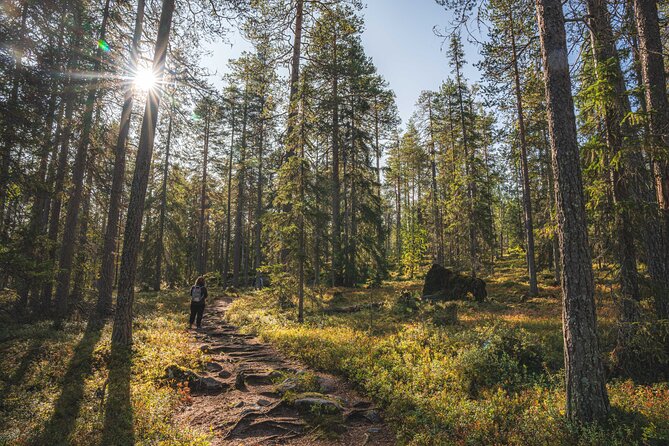 Explore the Wilderness (Summer & Autumn) - What the $159.48 price means