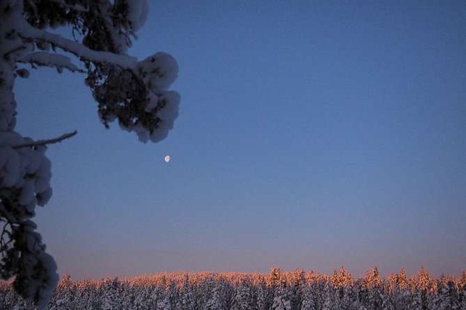 Explore Winter Woods: Snowshoe walk with local Biologist - Reading tracks instead of chasing animals