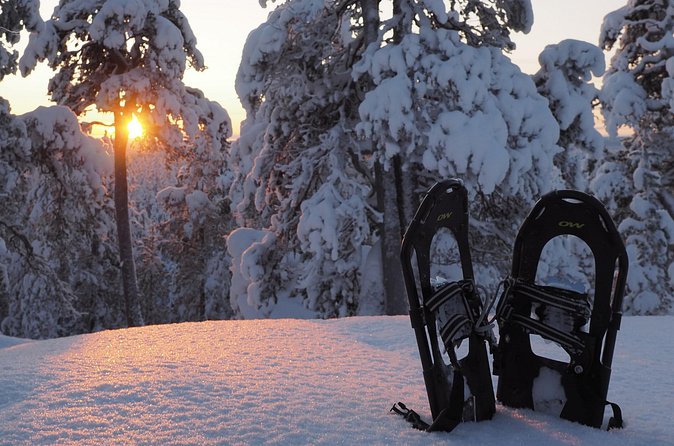 Explore Winter Woods: Snowshoe walk with local Biologist - Is $114.02 a fair price?