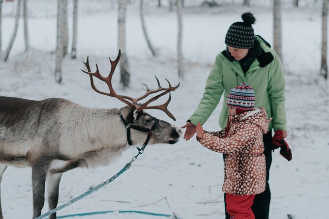 Family day: Reindeer, Husky and Snowmobiling in Levi - Key points before you book