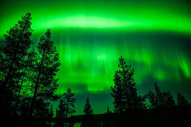 Family-Friendly: Northern Lights Adventure from Rovaniemi - Price and what the $126.16 covers
