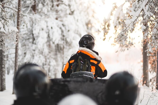 Family Snowmobile Safari from Santa Claus Village - Key points to know before booking