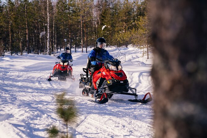 Family Snowmobiling in Rovaniemi, Apukka Resort - Guides, safety, and the cold
