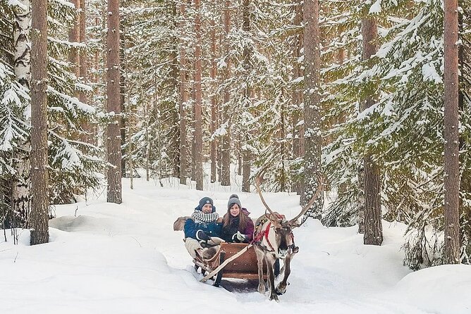 Forest Trail Reindeer Safari - Who will enjoy this most?