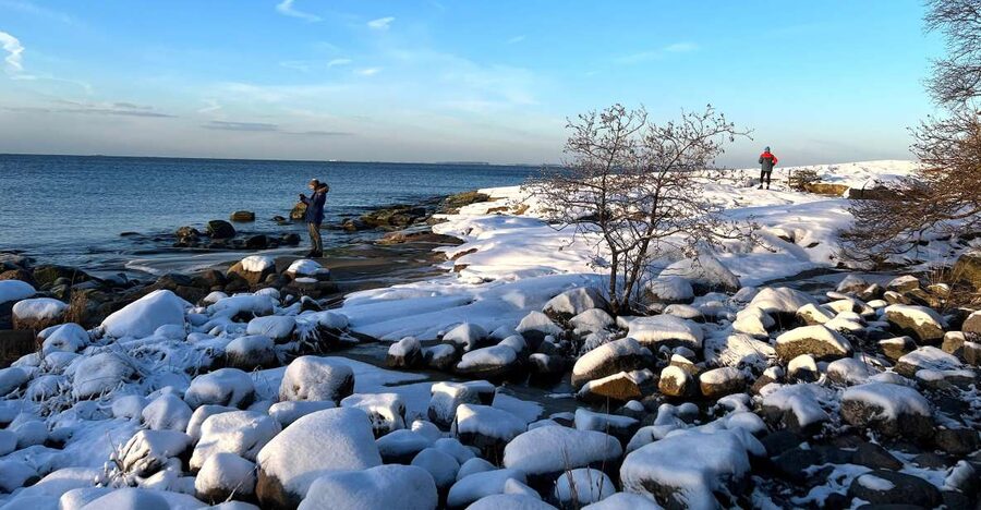 From Helsinki: Archipelago Excursion in Porkkalaniemi - How the tour changes by season
