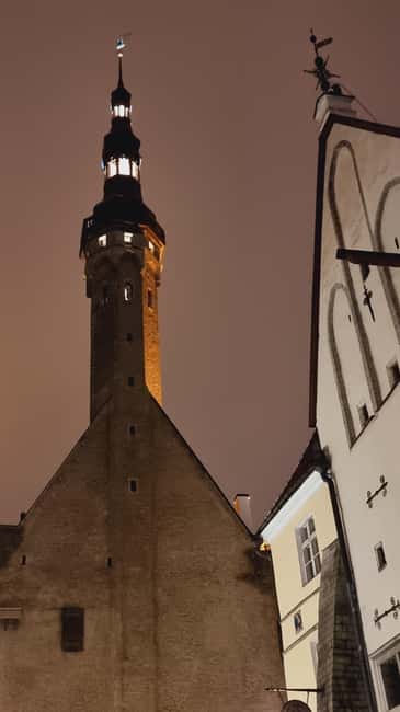 From Helsinki: Guided Day Trip to Tallinn by Ferry & VIP Car - Free Time for Shopping and Dinner Plans