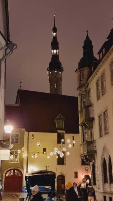 From Helsinki: Guided Day Trip to Tallinn by Ferry & VIP Car - Should You Book the Helsinki to Tallinn Day Trip?