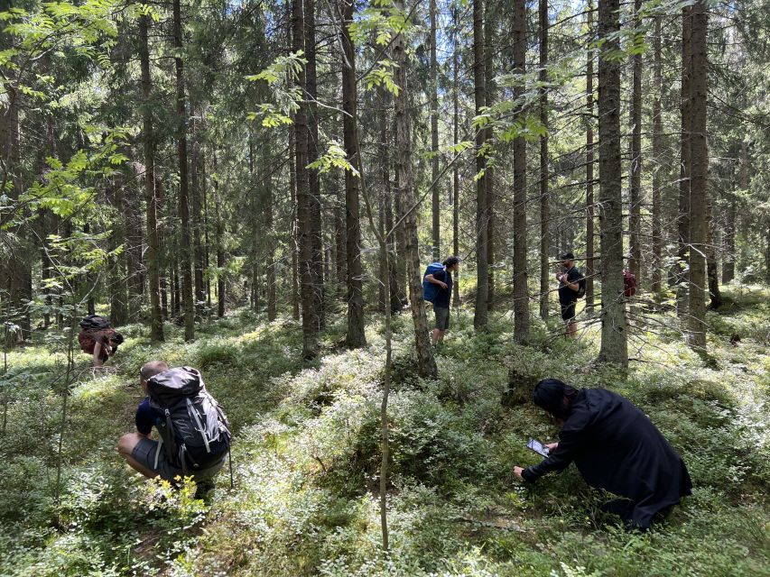 From Helsinki: Hike and Sauna in Sipoonkorpi National Park - What makes this Helsinki day trip special