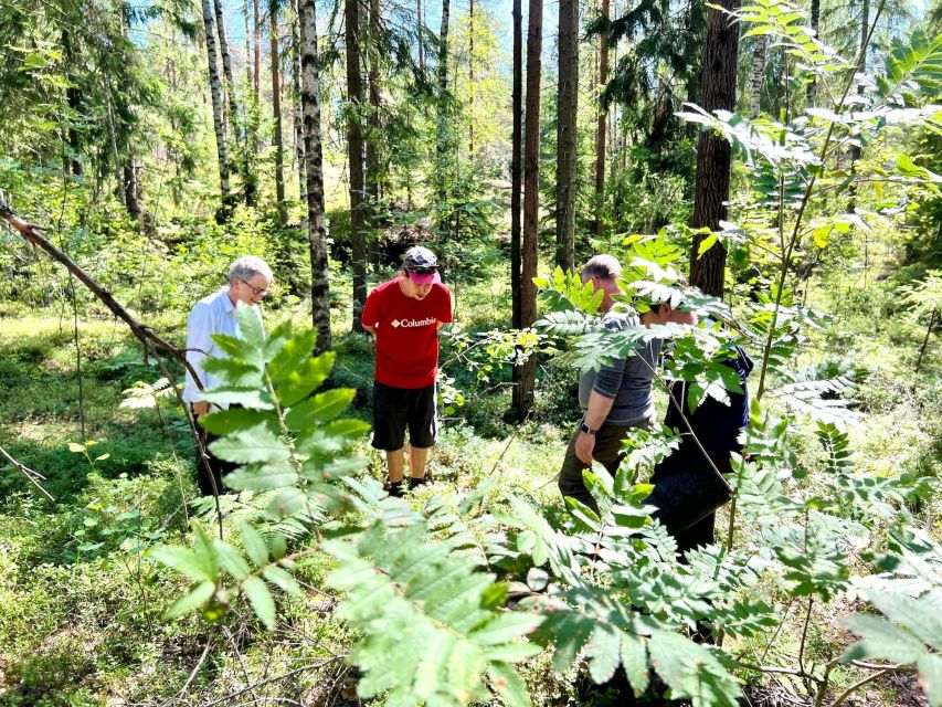 From Helsinki: Hike and Sauna in Sipoonkorpi National Park - Kuusijärvi Lake and the Finnish sauna ritual