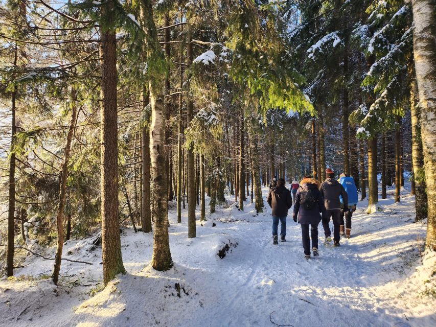 From Helsinki: Hike and Sauna in Sipoonkorpi National Park - What the $194 price includes