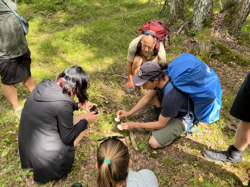 From Helsinki: Hike and Sauna in Sipoonkorpi National Park - The best season for the hike and lake swim