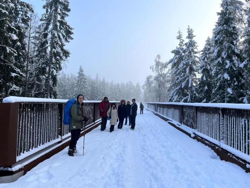 From Helsinki: Hike and Sauna in Sipoonkorpi National Park - Who should book this experience