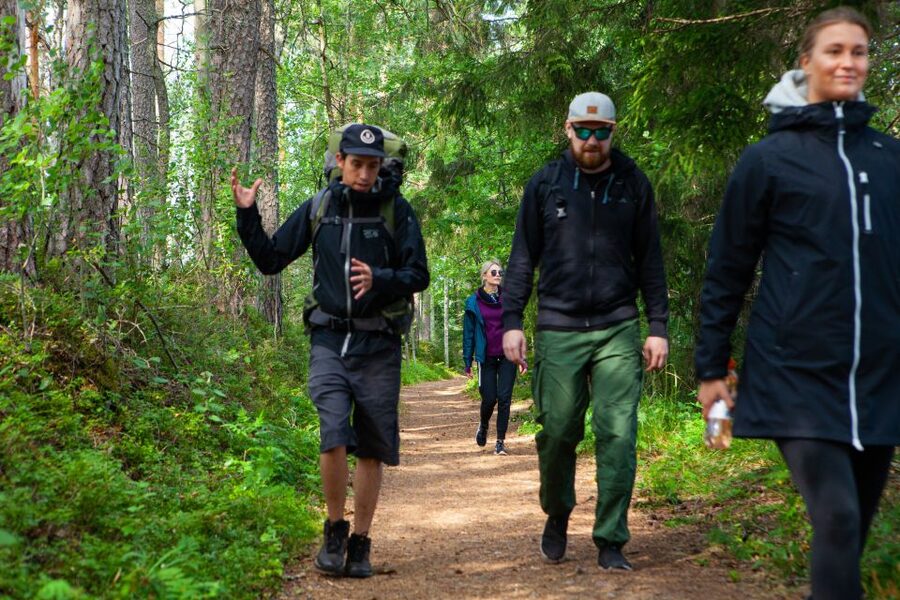 From Helsinki: Magical Taiga Hike in Liesjärvi National Park - How much value does $182 provide?