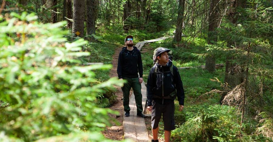 From Helsinki: Magical Taiga Hike in Liesjärvi National Park - Guides who make the day work