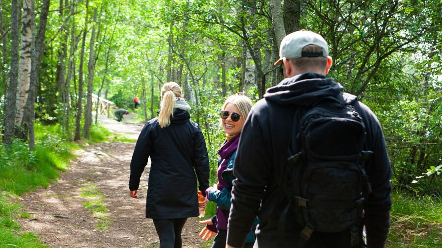 From Helsinki: Magical Taiga Hike in Liesjärvi National Park - The first forest walk, about two hours among lakes and trees