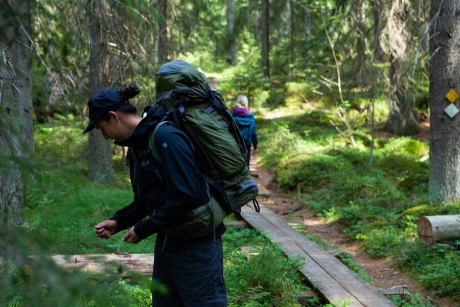 From Helsinki: Mushroom Hunting Tour in a National Park - From Kiasma to the forests of Uusimaa