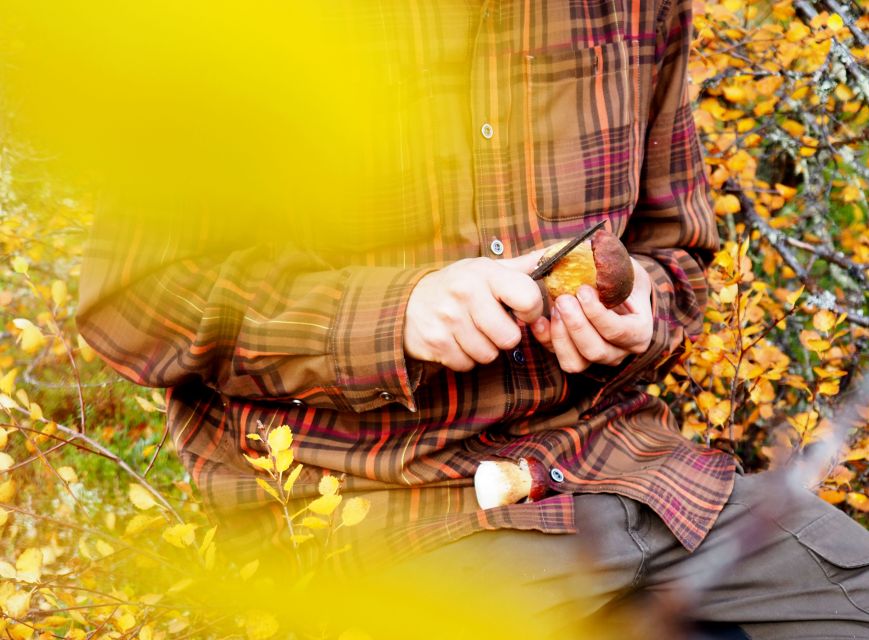 From Helsinki: Mushroom Hunting Tour in a National Park - How to decide before booking