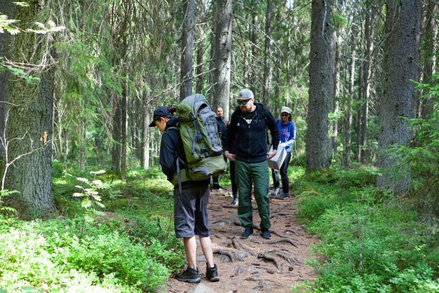 From Helsinki: Mushroom Hunting Tour in a National Park - Should you book the Taiga Times mushroom tour?