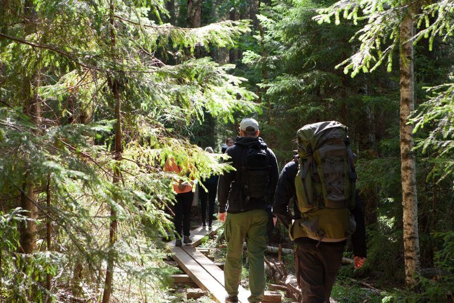 From Helsinki: Mushroom Hunting Tour in a National Park - The practical pleasure of mushroom identification
