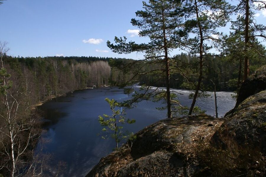 From Helsinki: Nuuksio National Park Half-Day Trip - Key points to know before you go