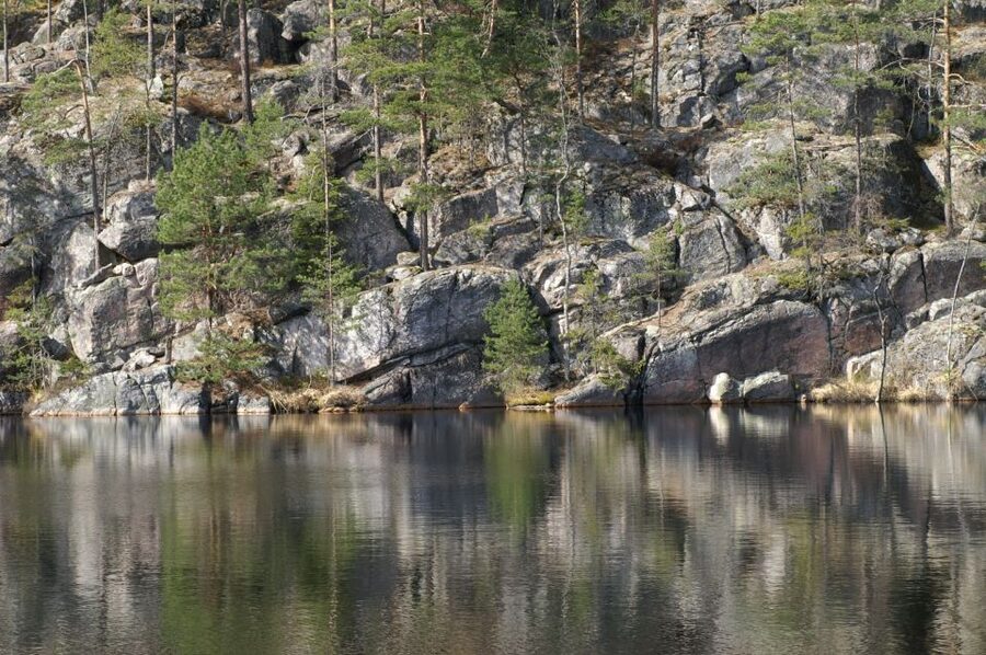 From Helsinki: Nuuksio National Park Half-Day Trip - Lakes, berries, mushrooms, and the chance of wildlife